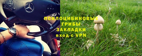трава Алексеевка
