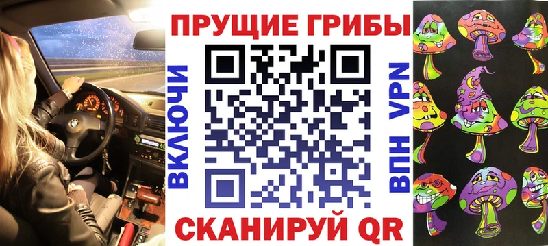 купить закладку  Почеп  Галлюциногенные грибы GOLDEN TEACHER 