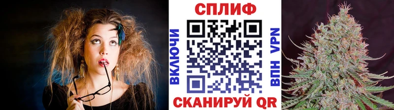 как найти Почеп Бошки Шишки сатива